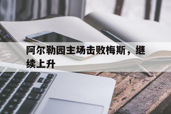 阿尔勒园主场击败梅斯，继续上升的简单介绍