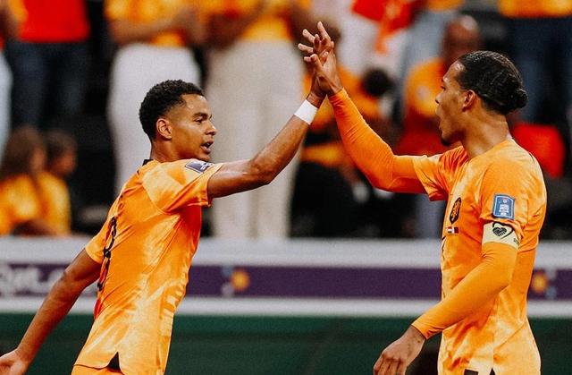 包含荷兰队将壮大班底备战欧洲杯资格赛的词条