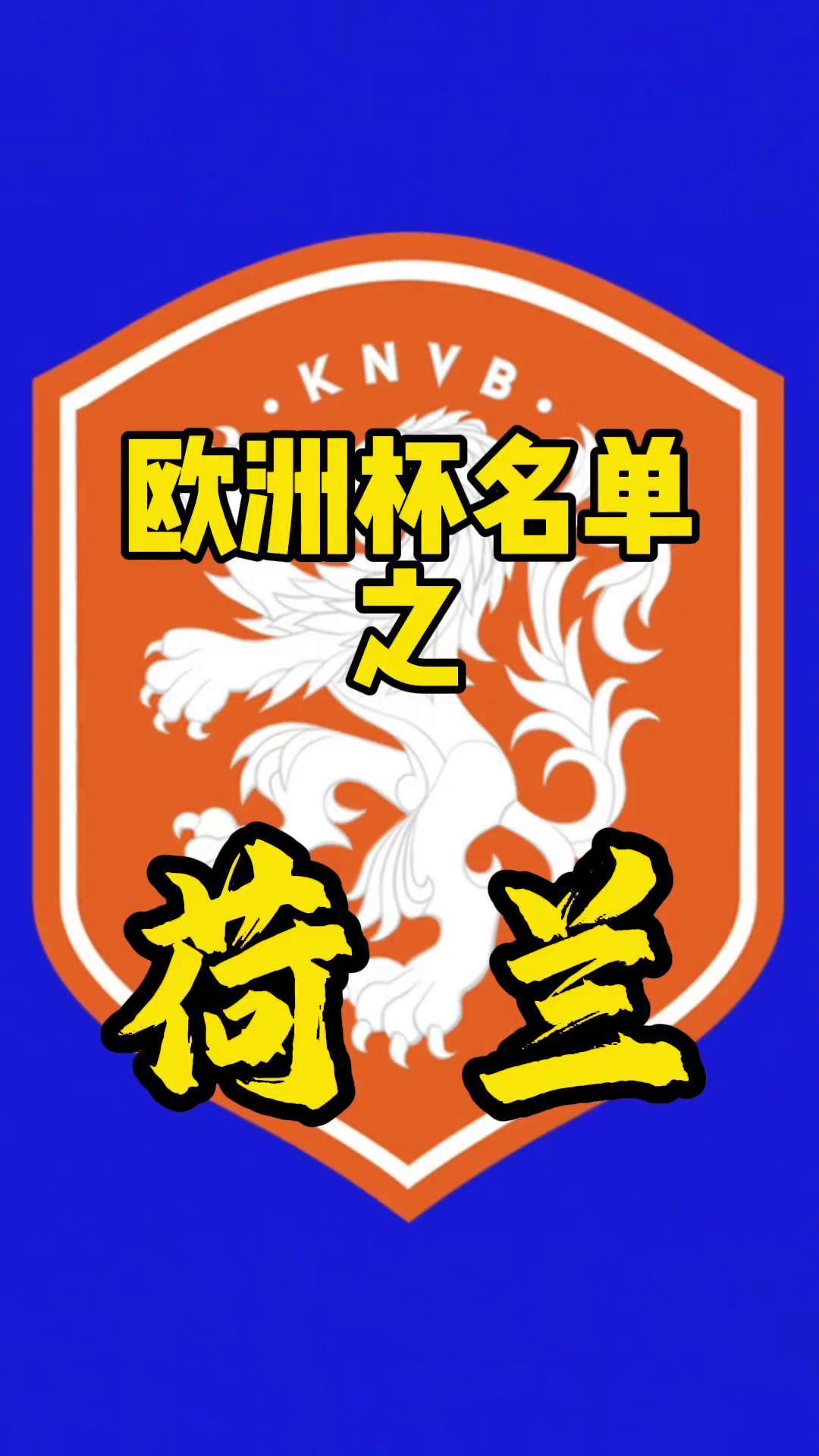 包含荷兰队将壮大班底备战欧洲杯资格赛的词条