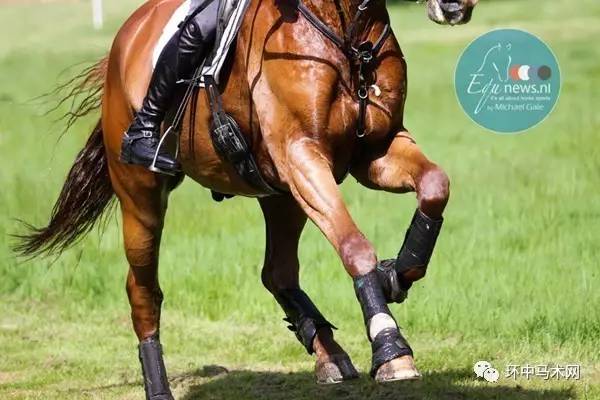 包含英国队成绩出色，队员笑逐颜开的词条